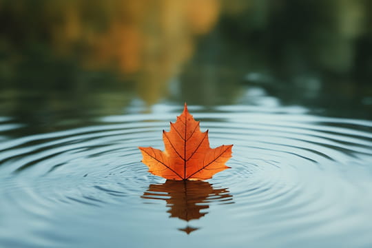 Equinoxe d'automne 2025 : que va-t-il se passer exactement ce lundi ?