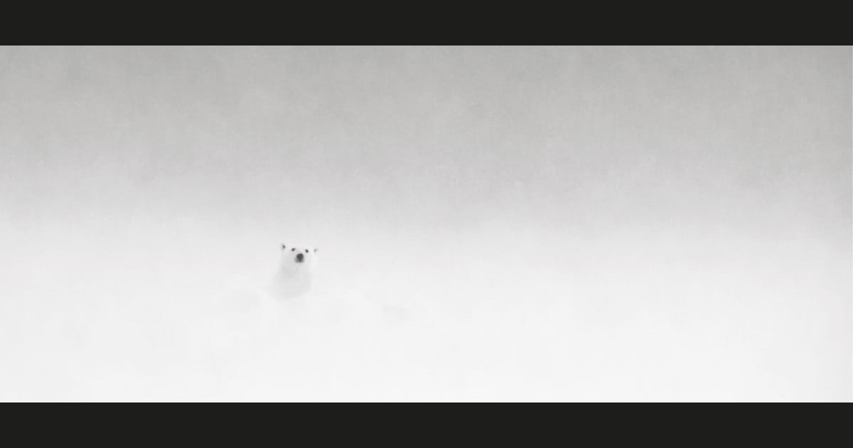 Dans la brume