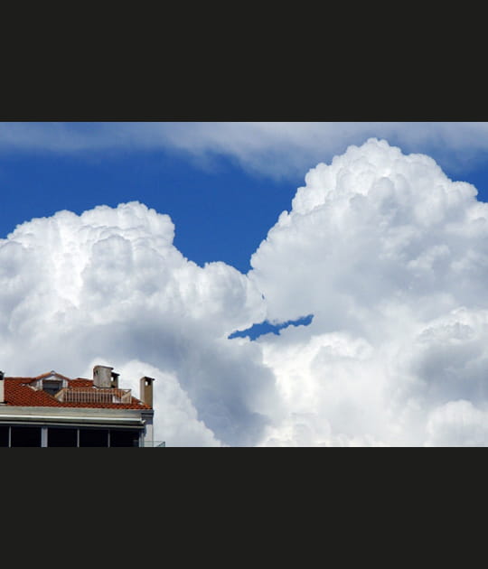 Bons baisers du ciel