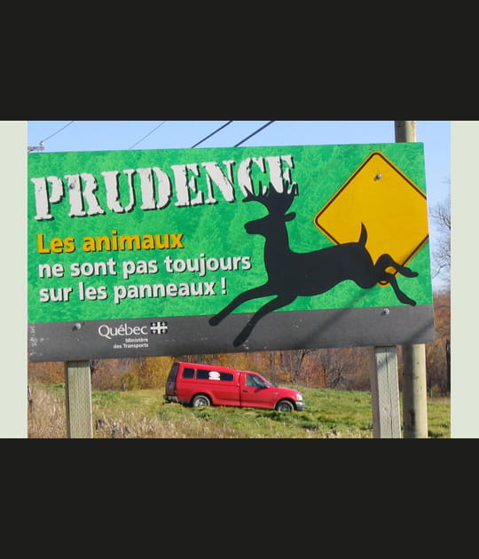 Ne pas tomber dans le panneau