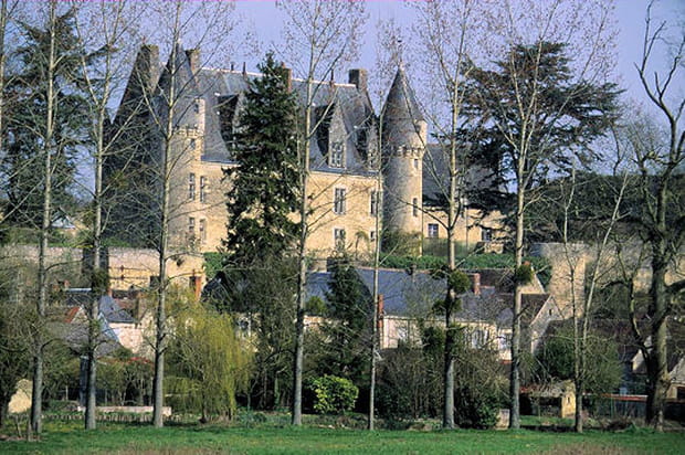 Le protecteur de Montrésor