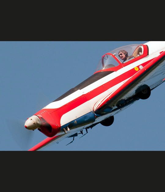 L&eacute;on, star de cin&eacute;ma