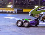 Battlebots : le choc des robots