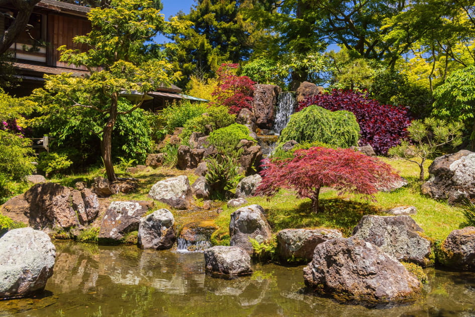 Golden Gate Park