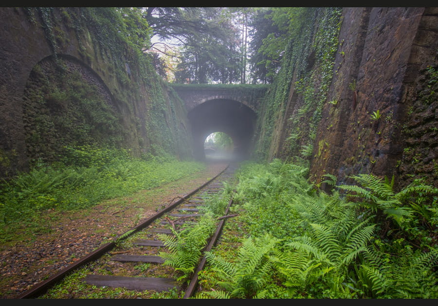 Petite ceinture de Paris