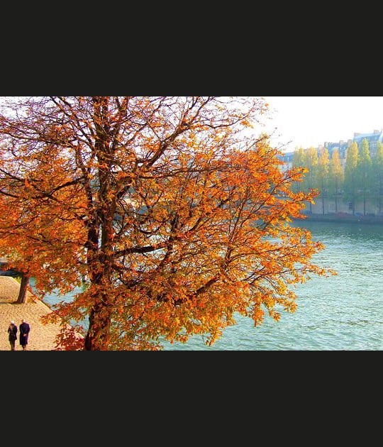 Automne &agrave; Paris
