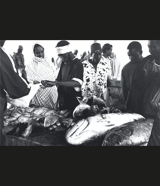 Poissonnerie mauritanienne