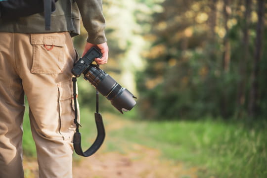 Une cr&eacute;ature que personne n'avait vue depuis des d&eacute;cennies a &eacute;t&eacute; photographi&eacute;e