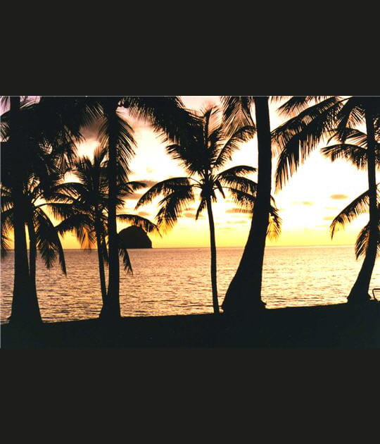 Le soleil dispara&icirc;t