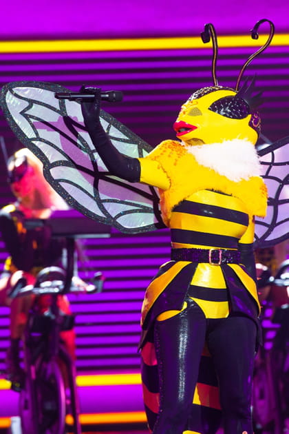 Les indices sur l'Abeille