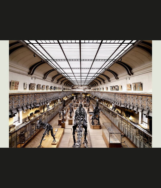 Galerie des Dinosaures