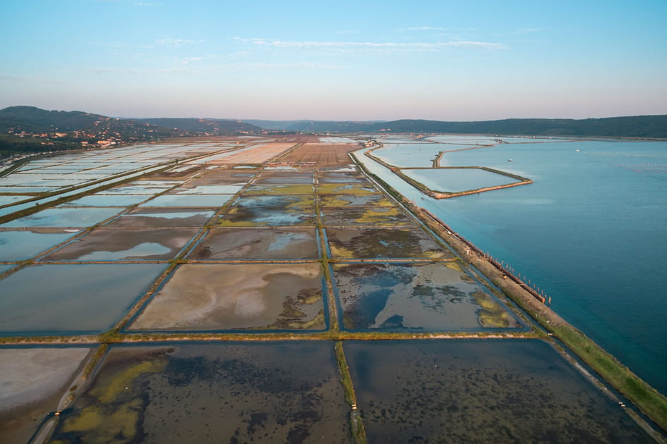 Les salines de Secovlje