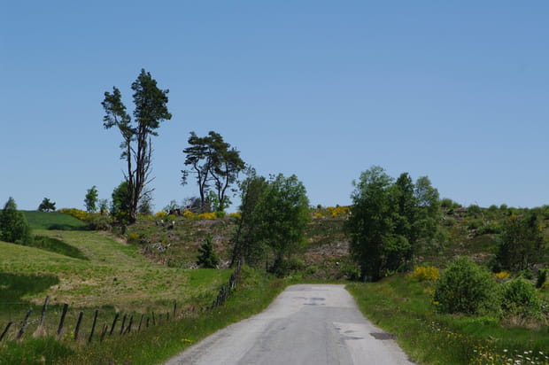 Le Plateau des Millevaches