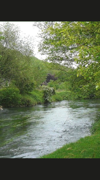 Les agences de l&rsquo;eau : pollueur-pay&eacute; ?