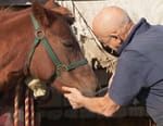 L'incroyable Dr Pol