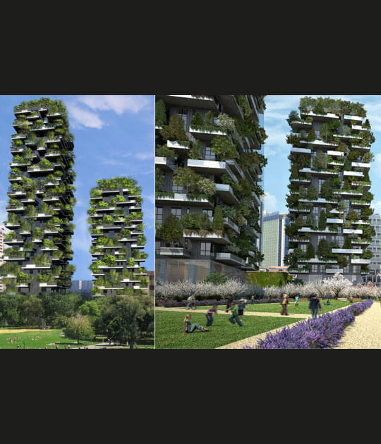Jardin dans les airs