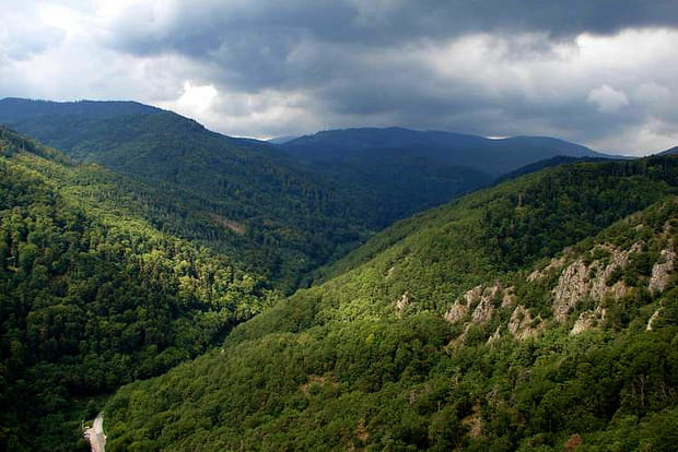 Dans les Vosges, sur la Route des Crêtes