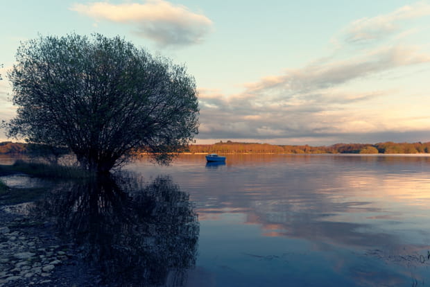 Une balade au Lac au Duc de Ploërmel, aux portes de Brocéliande
