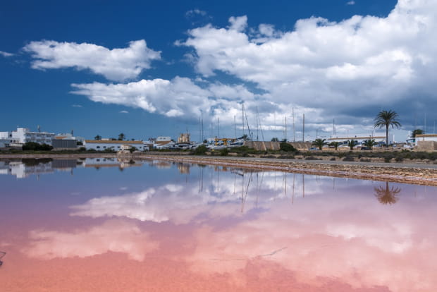 Parc naturel de Ses Salines
