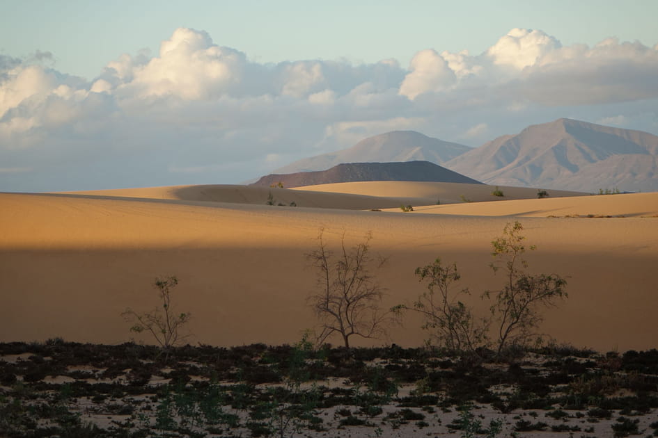 Le parc naturel de Corralejo