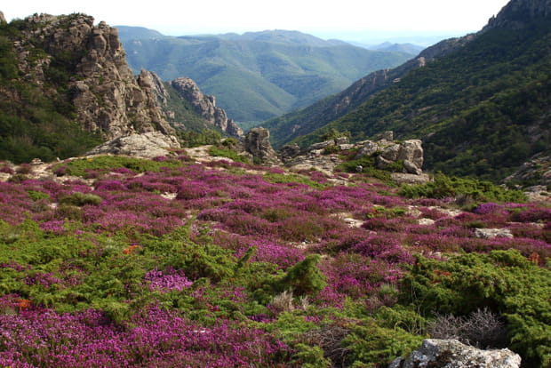 Le Caroux, top destination 2023