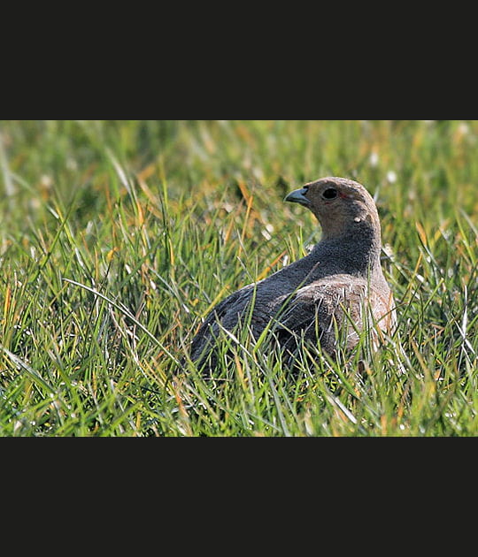 Sieste avec les derniers rayons du soleil