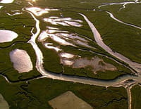 Douces France(s) : En Picardie et Nord-Pas-de-Calais