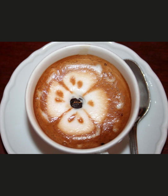 Une fleur caf&eacute;in&eacute;e