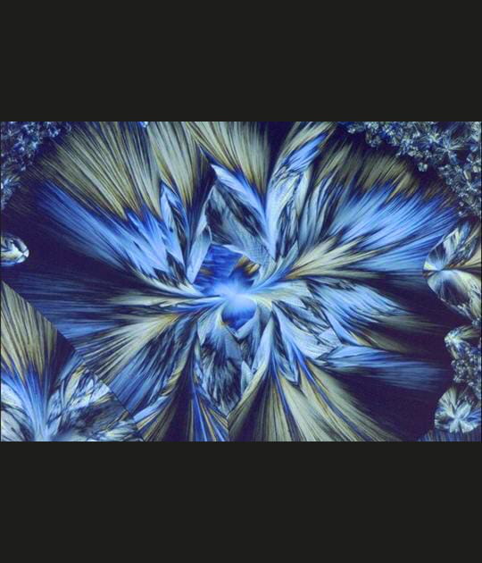 Enchev&ecirc;trement