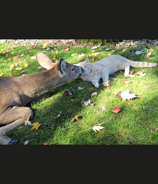 Amiti&eacute; d'un instant