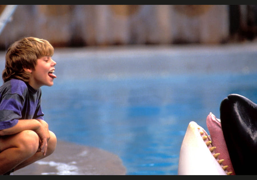 Sauvez Willy