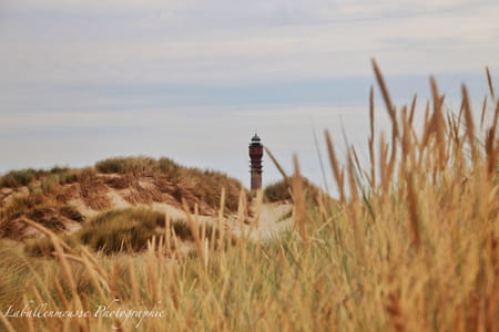 Phare de Dunkerque