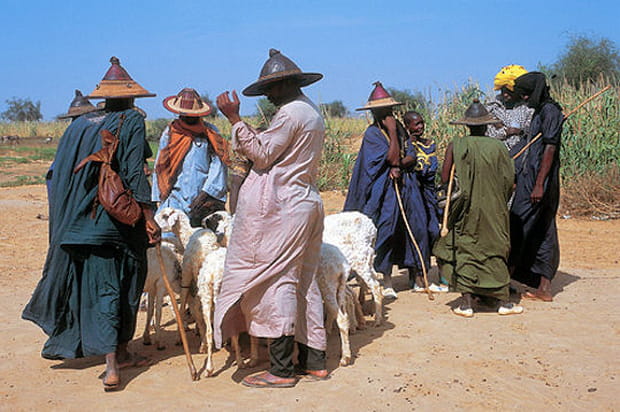 Les peuples nomades du Sahel