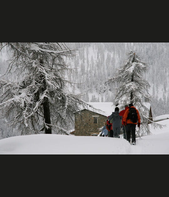 Halte au refuge