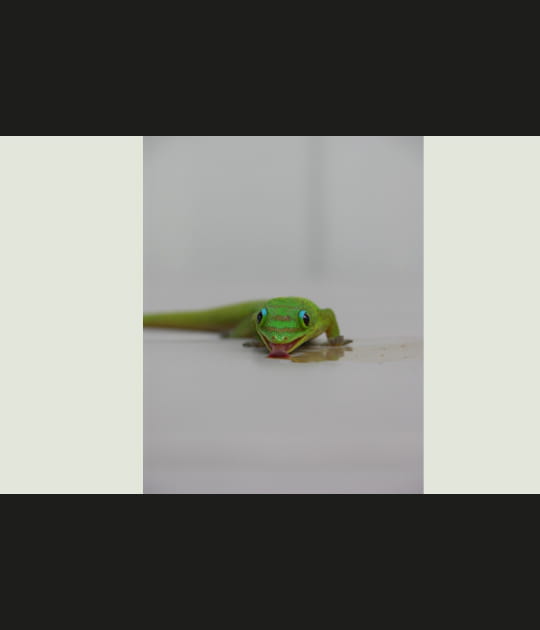 D&eacute;shydrat&eacute;