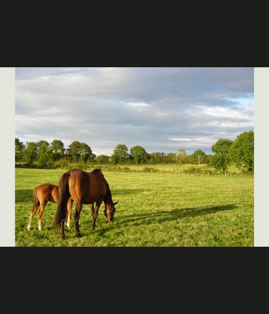 30&egrave;me&nbsp;: l'Irlande