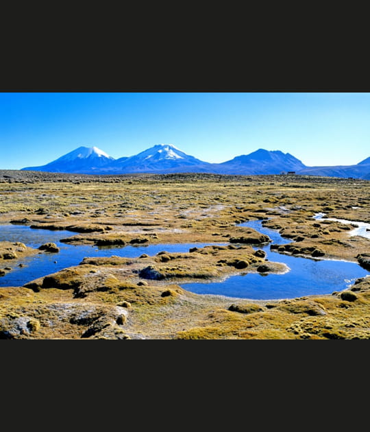 Le parc national Sajama