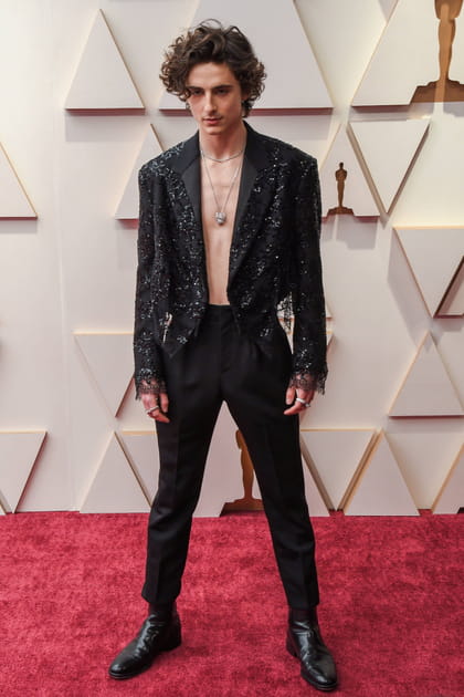 Timoth&eacute;e Chalamet et le look rock'n'roll