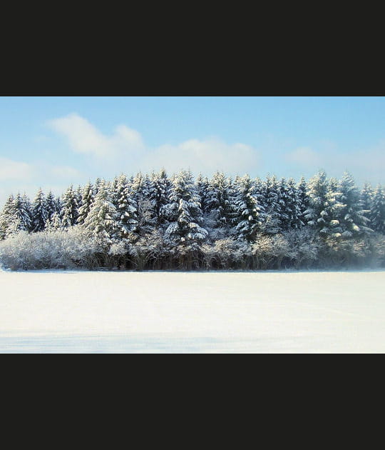 Neige &agrave; P&acirc;ques