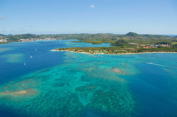 La grande famille des bleus