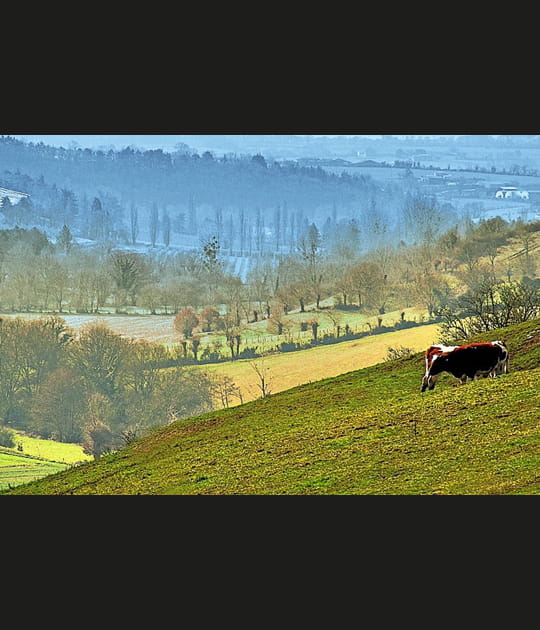 Pays des Mauges