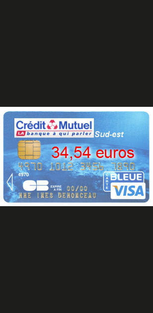 9e ex-aequo&nbsp;: Cr&eacute;dit mutuel Sud-est avec&nbsp;une&nbsp;Visa&nbsp;classic &agrave; 34,54&nbsp;euros