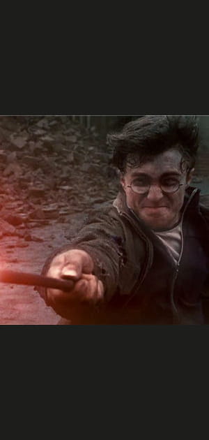 Le film&nbsp;: Harry Potter contre Voldemort
