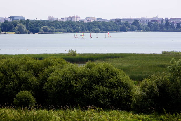Réserve Naturelle Nationale de Saint-Quentin-en-Yvelines