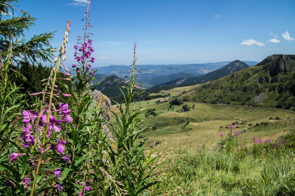 Le Massif du M&eacute;zenc
