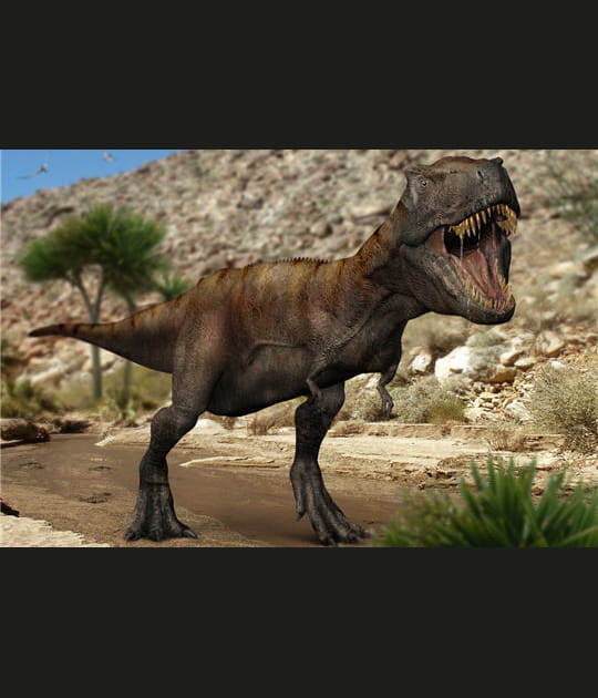 Un monstre charognard&nbsp;?