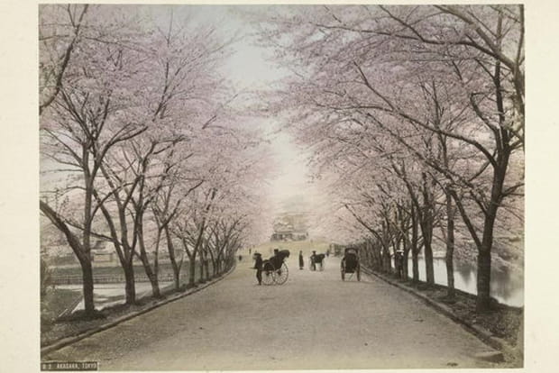 Heures tranquilles au Japon