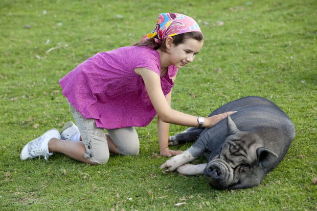 Initiation au poney et activités de la ferme en Auvergne