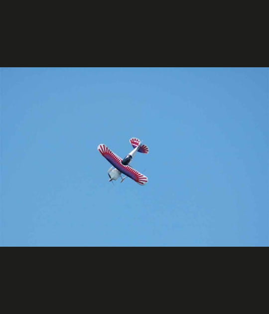 Pitts