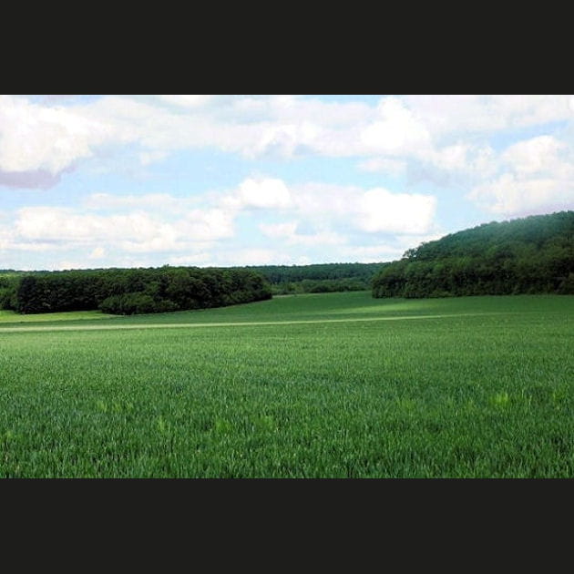 Les champs de Gravigny en Normandie